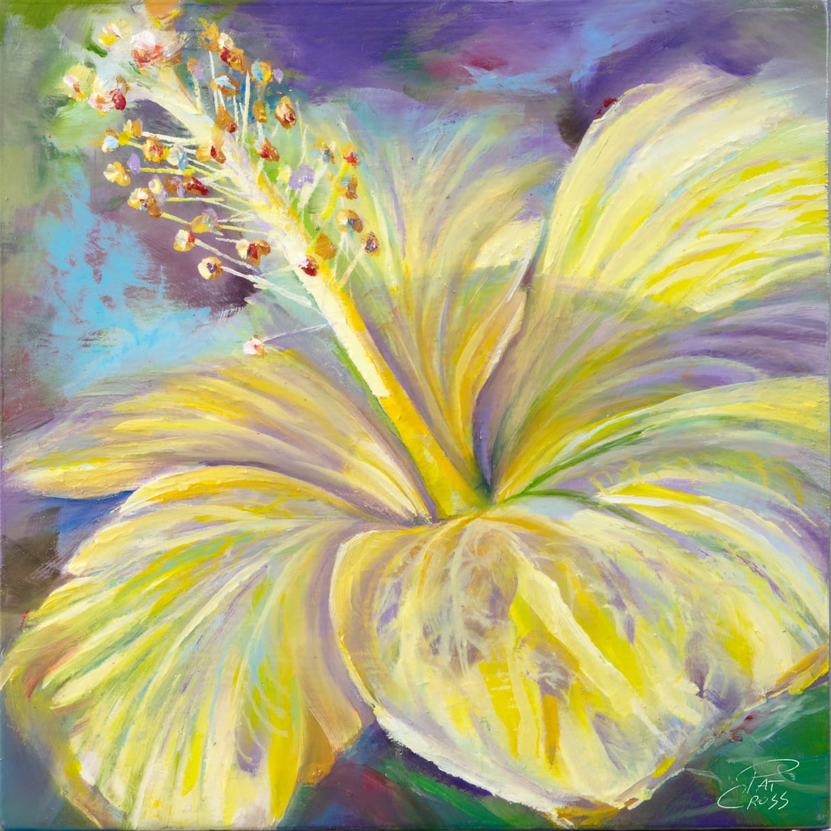 Yellow Hibiscus by Pat Cross  Image: Yellow Hibiscus by Pat Cross