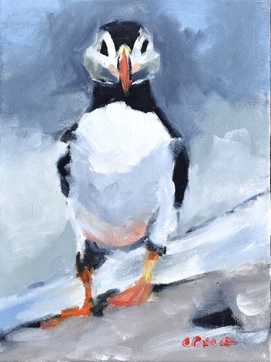 Adelaide by Corinne Galla 