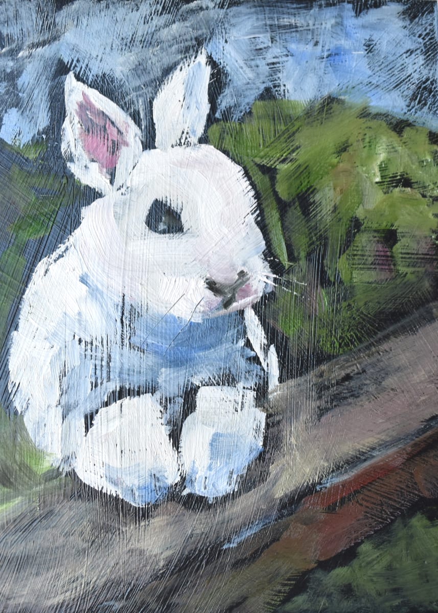 Bunn by Corinne Galla 