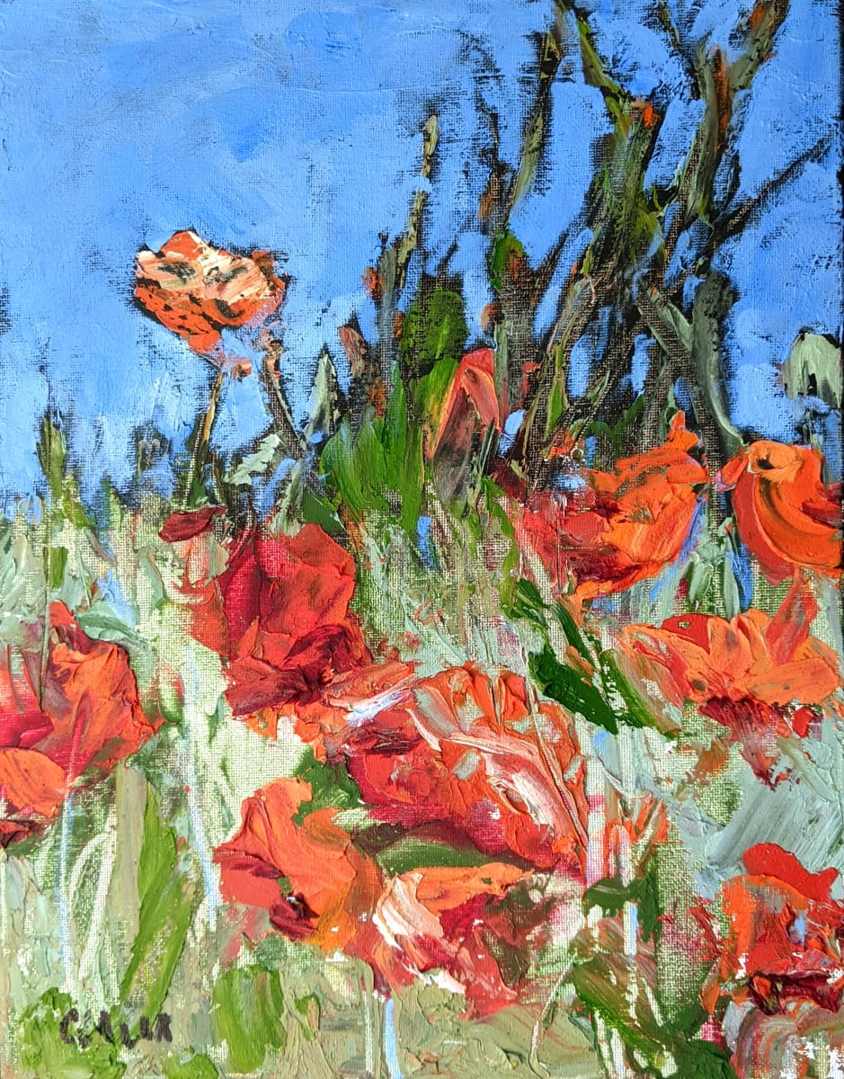 Double Poppies by Corinne Galla 