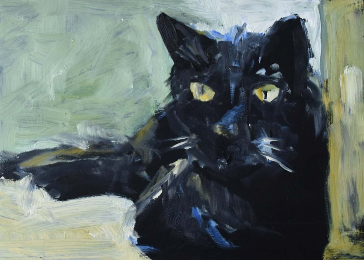 Here Sammy by Corinne Galla 