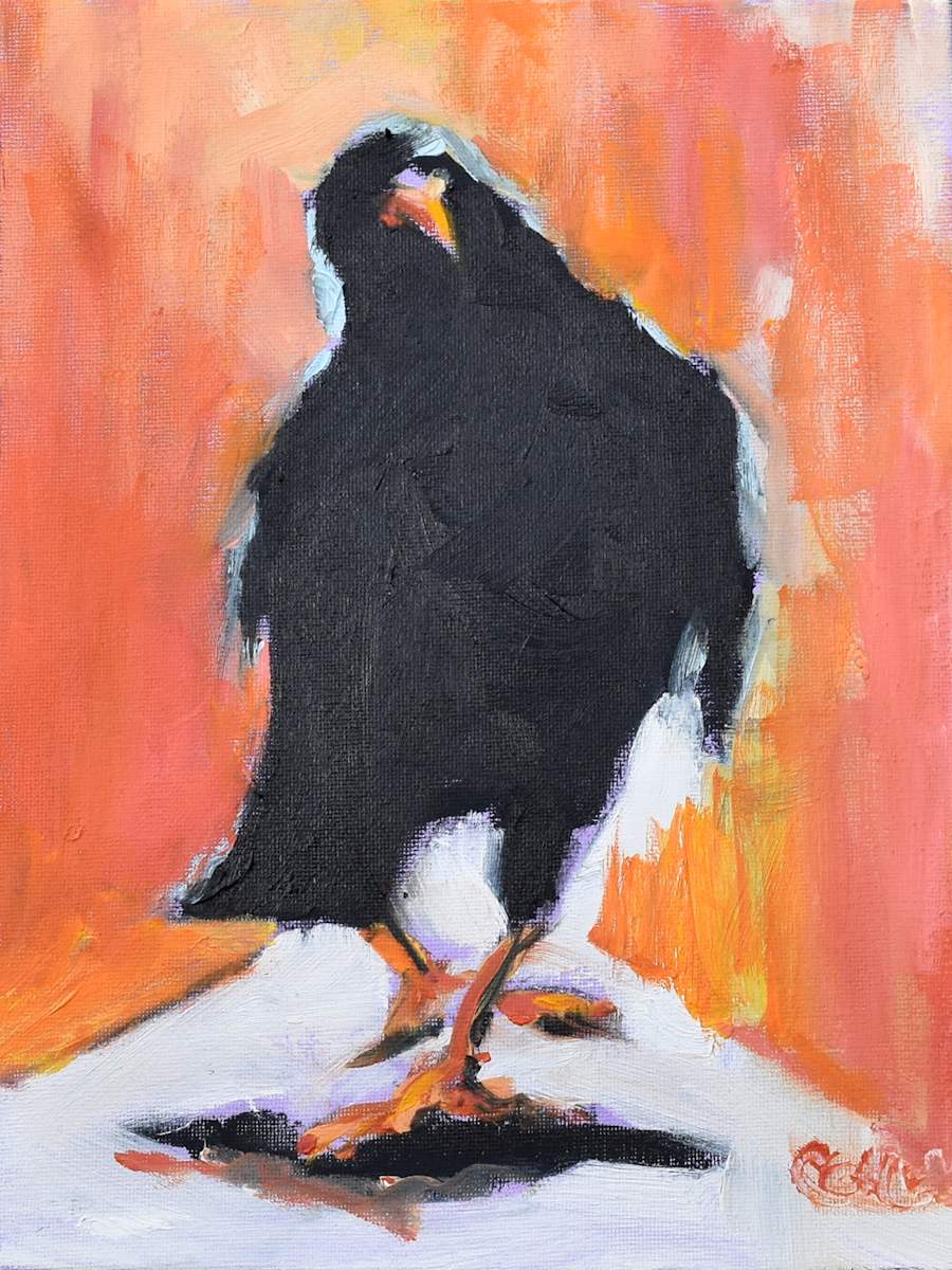 Northern Lights by Corinne Galla 