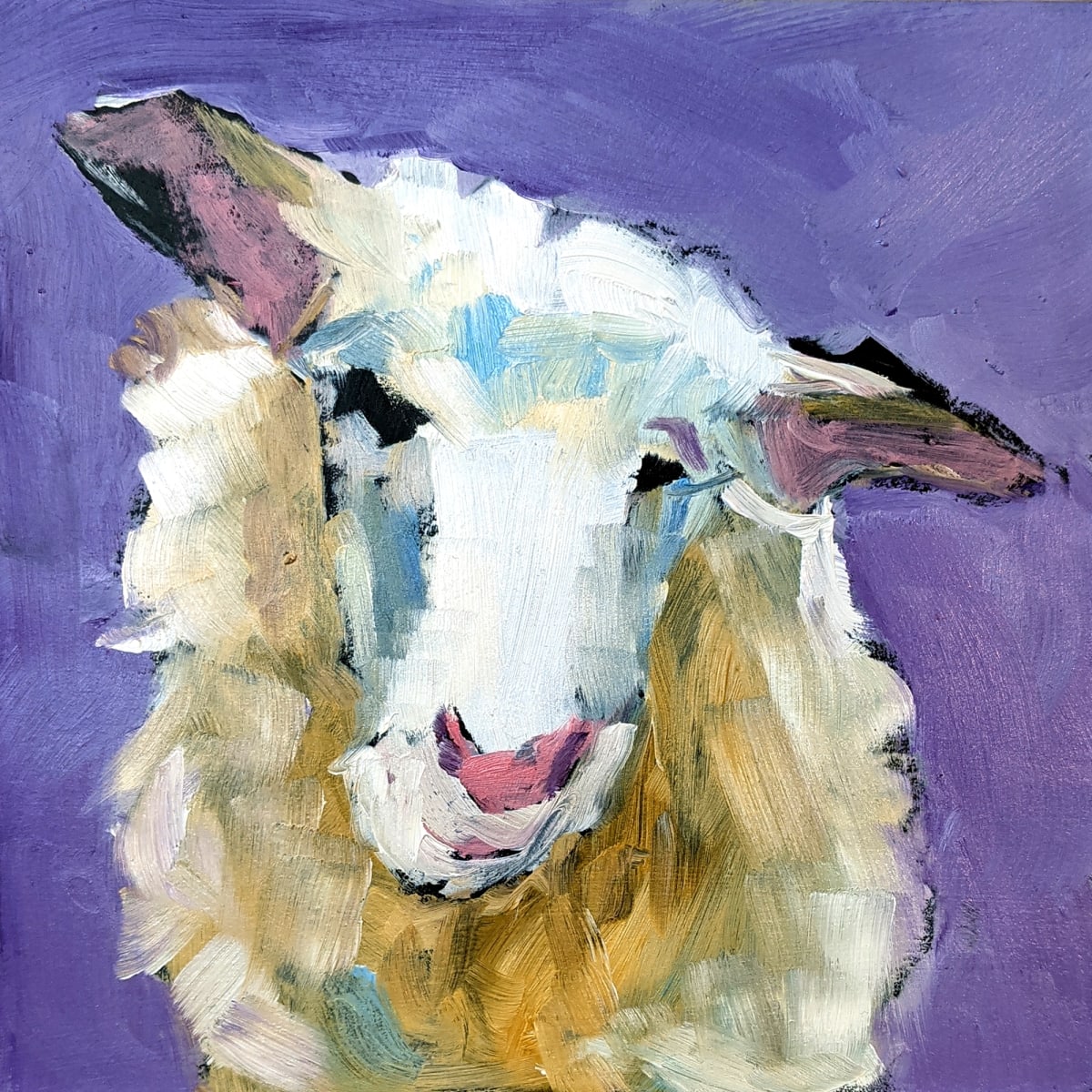 Shep by Corinne Galla 