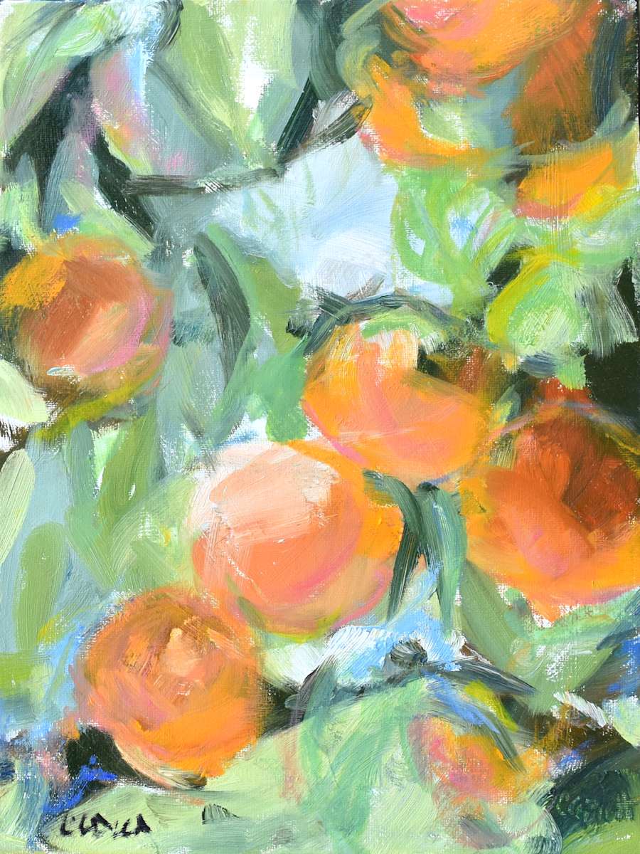 Where Did You  Get These by Corinne Galla, Image 1.