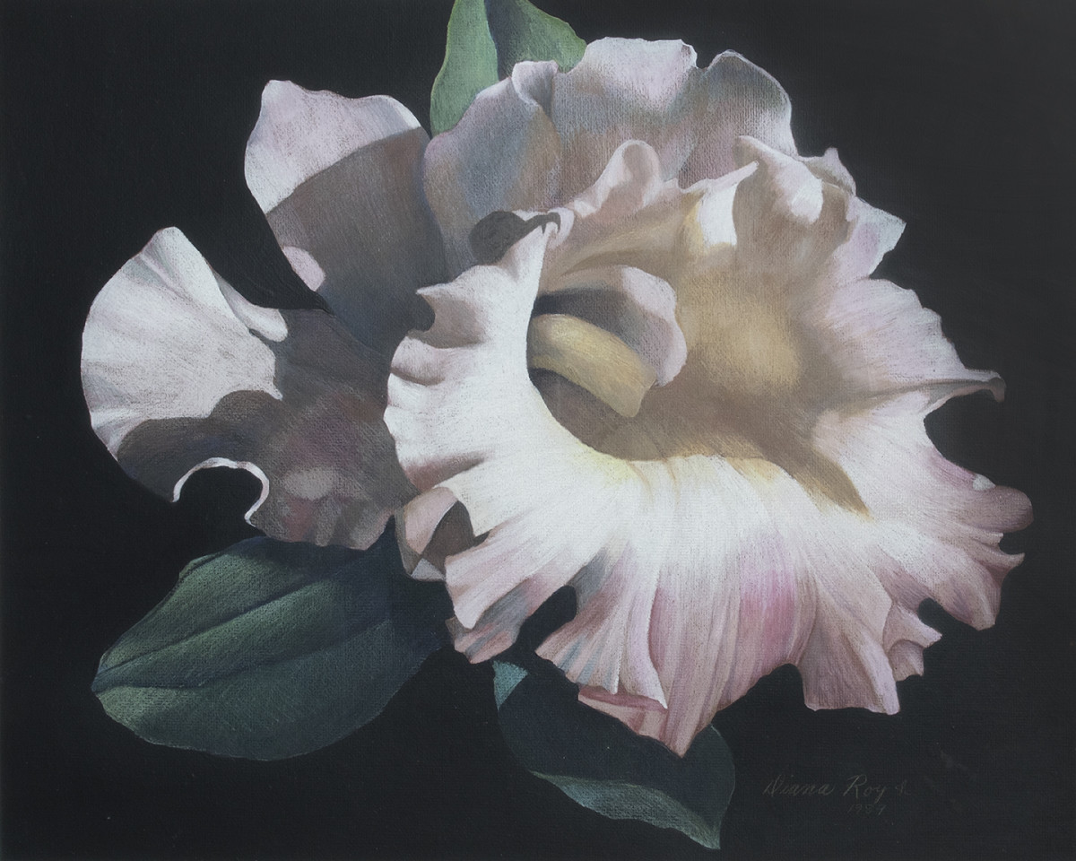"Ray's Orchid" by Diana Roy 1940-2019 