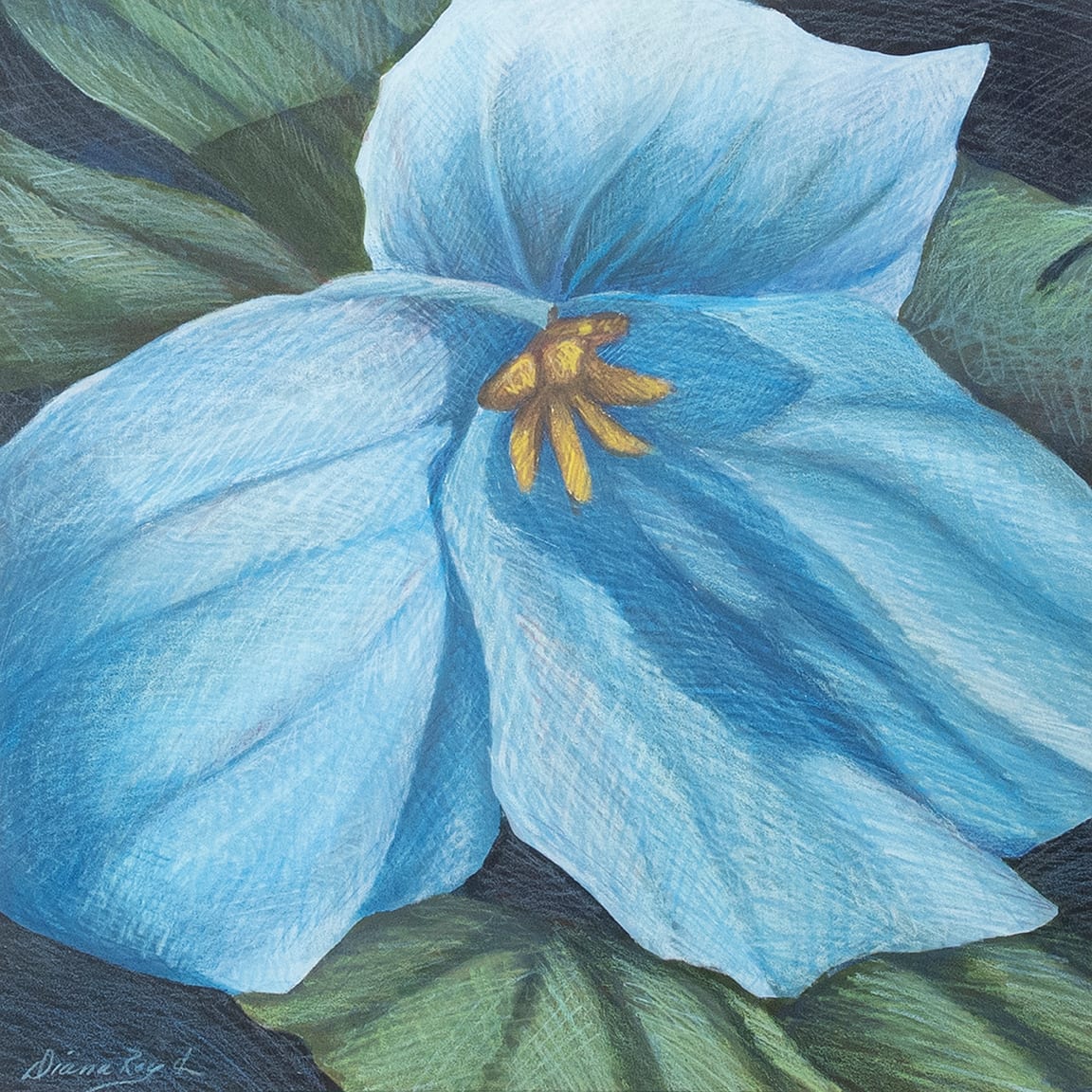 "Candle" by Diana Roy 1940-2019 