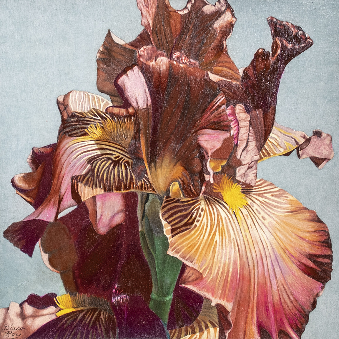 "Burgundy Iris" by Diana Roy 1940-2019 