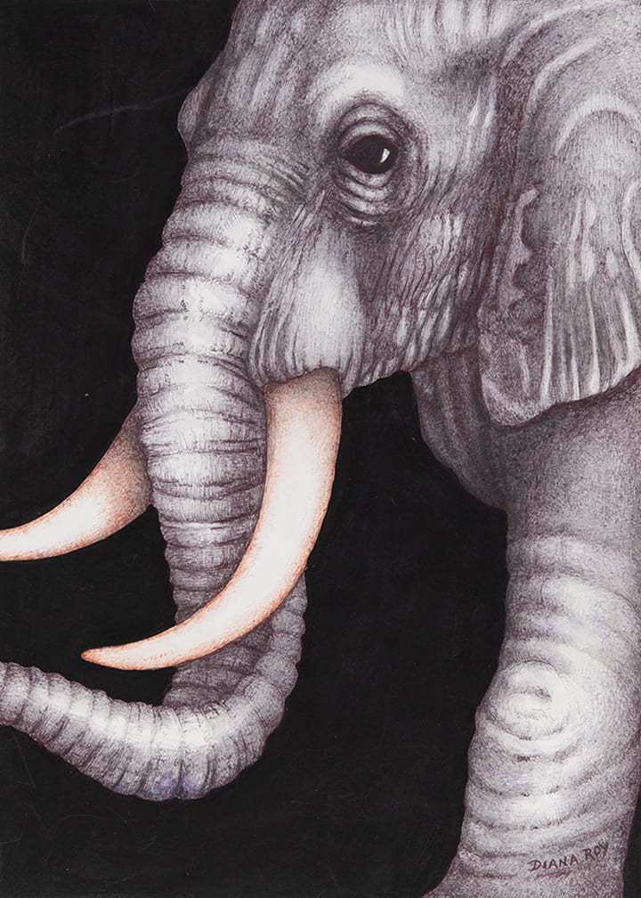 "Enter The Elephant" by Diana Roy 1940-2019, Image 2.