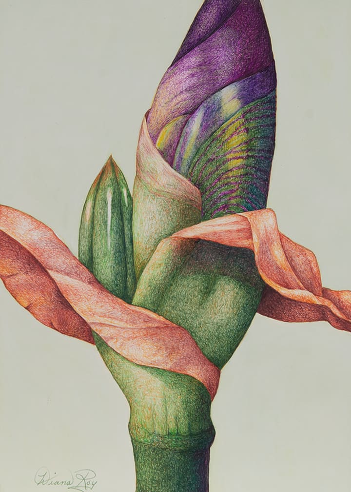 "Iris Bud #2" by Diana Roy 1940-2019, Image 2.