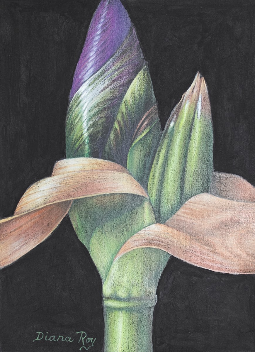 "Iris Buds" by Diana Roy 1940-2019, Image 2.