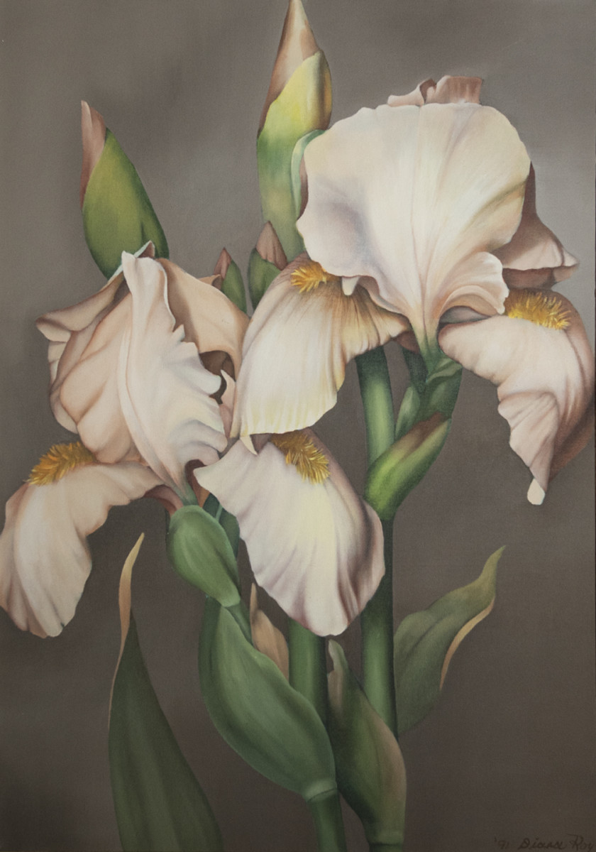 "Iris Triptych" by Diana Roy 1940-2019 