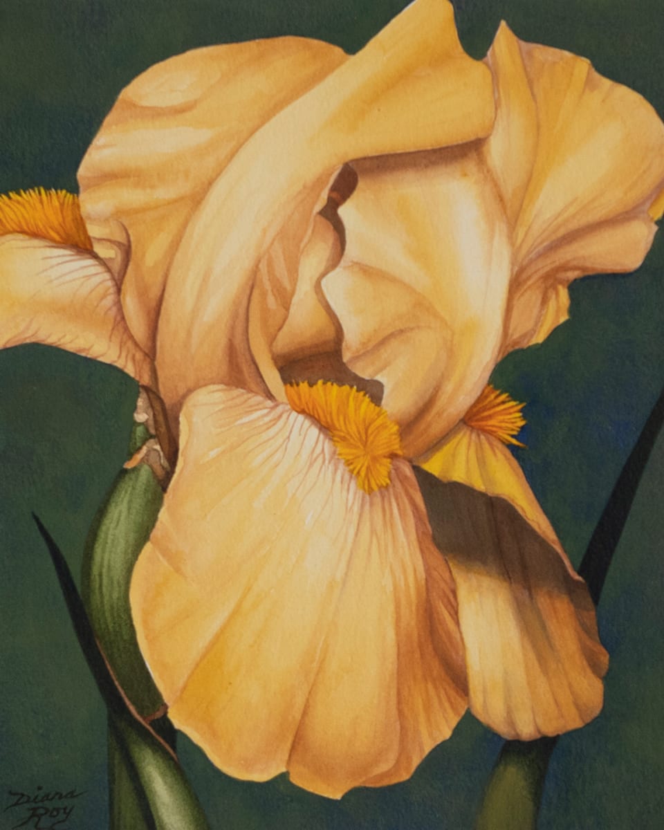 "Yellow Iris" by Diana Roy 1940-2019, Image 1.