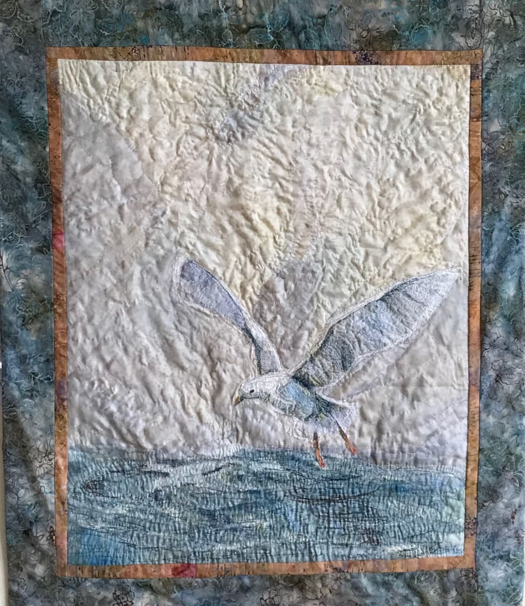 DeGarthe's Seagull by Cathy Drummond  Image: deGarthe's Seagull