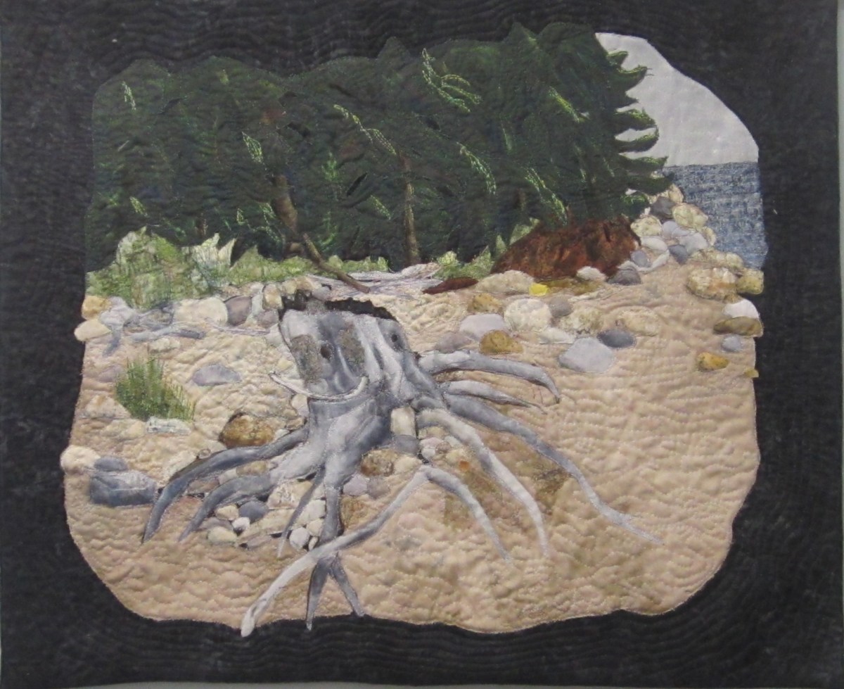 Storm Damage by Cathy Drummond 