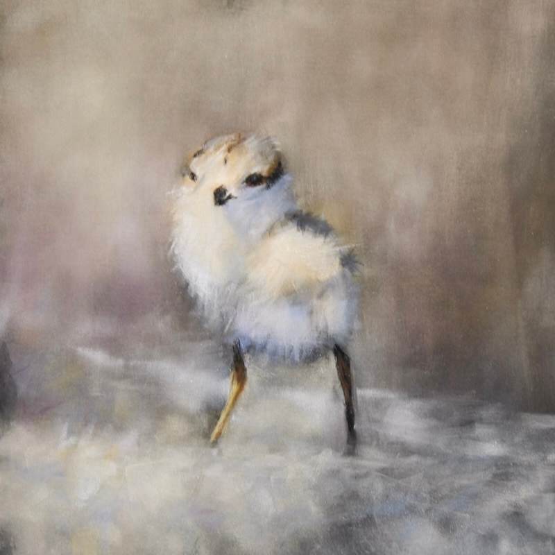 The Next Generation by Lisa Regopoulos 