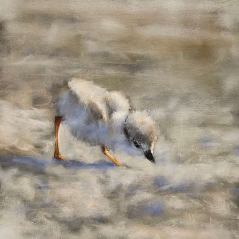 Scanning the Sands by Lisa Regopoulos 