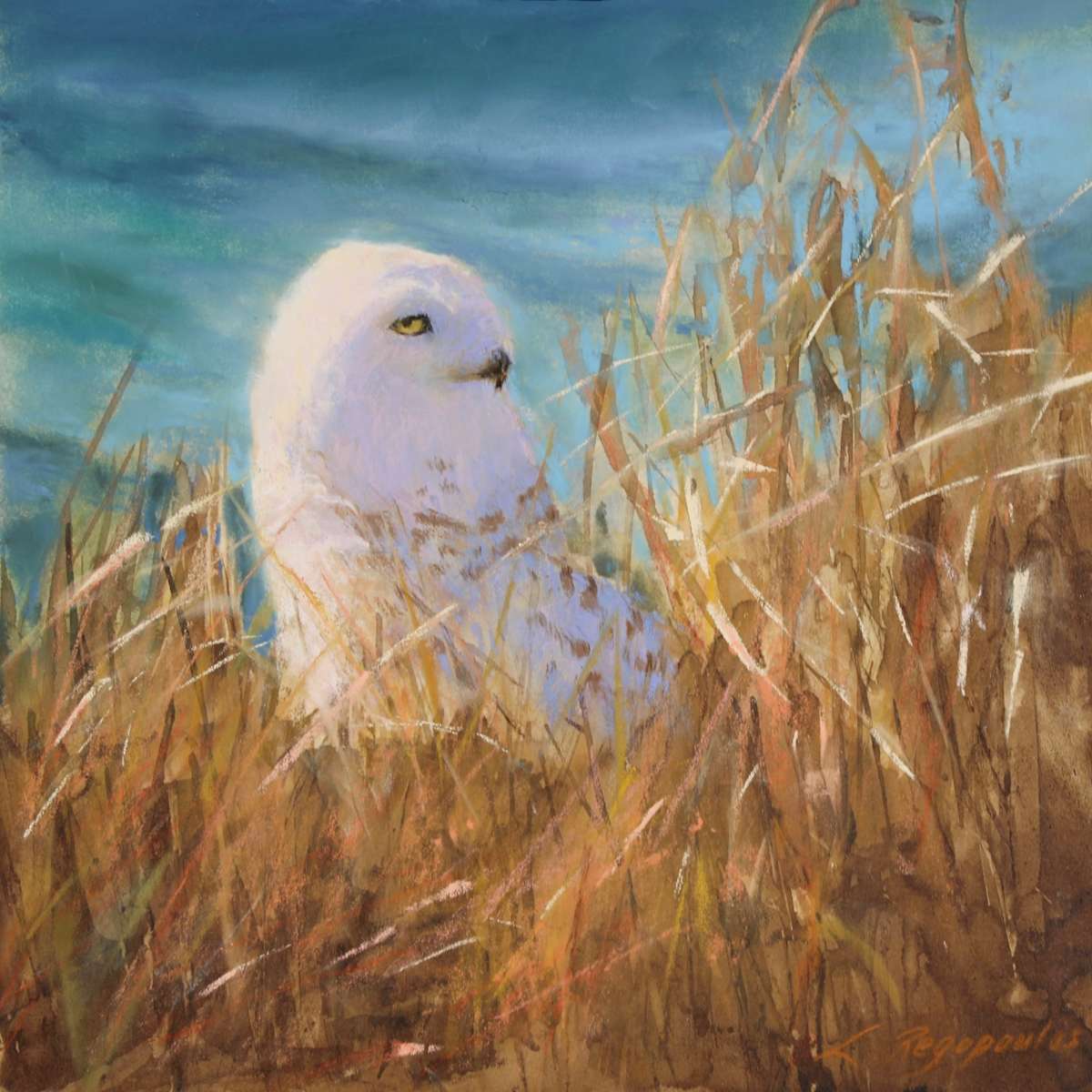 Eye's of the Tundra by Lisa Regopoulos 
