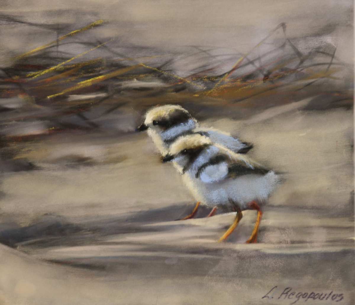 Coastal Kin by Lisa Regopoulos 