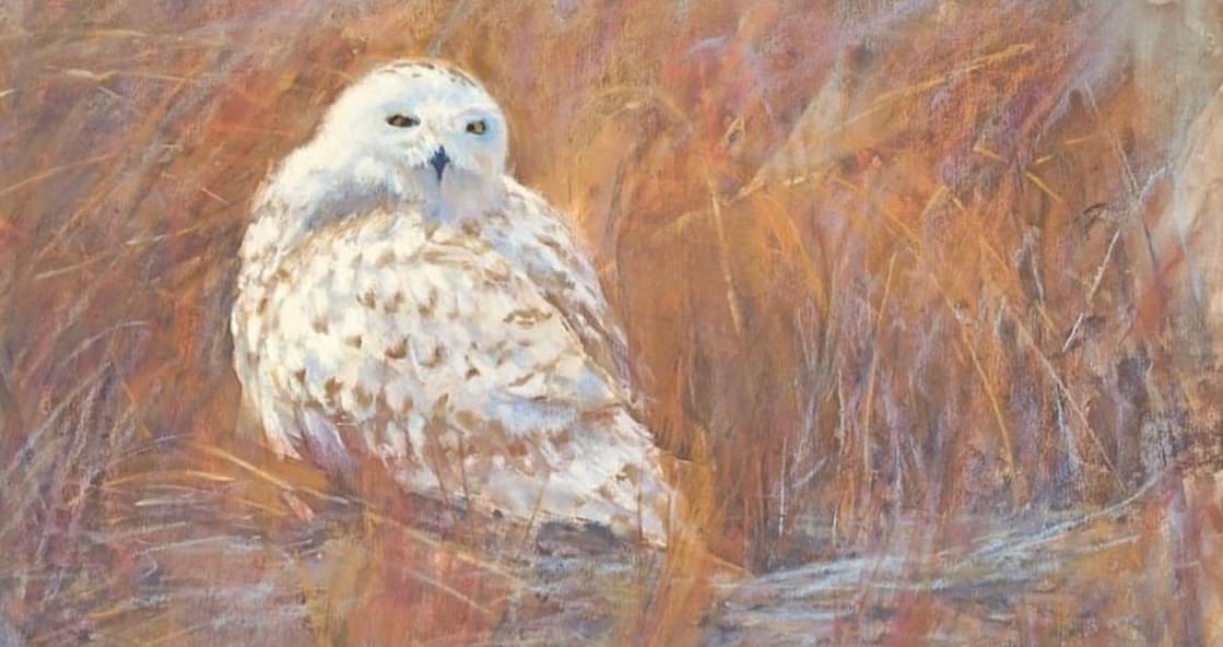 Alive and Free by Lisa Regopoulos 