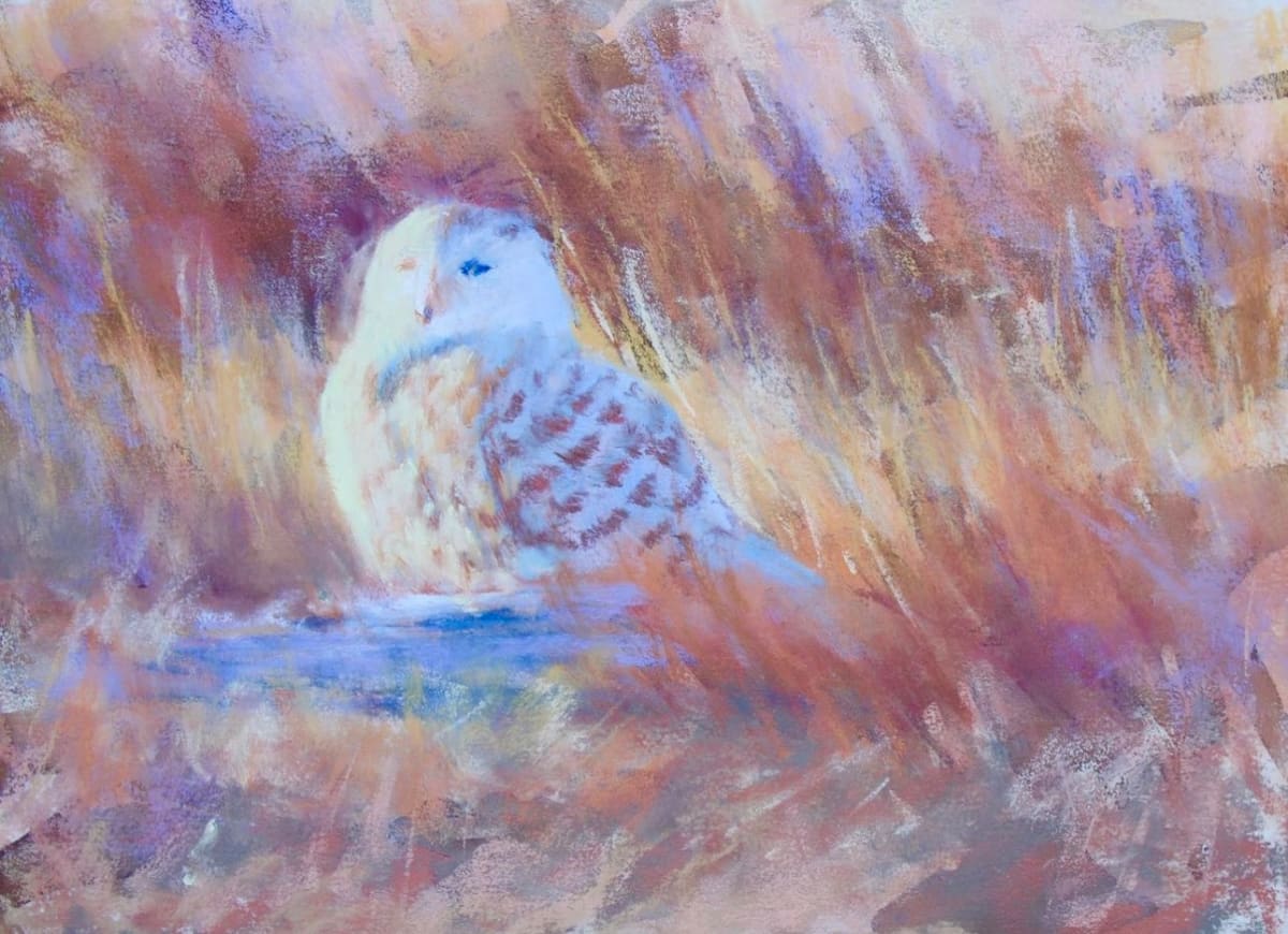 Quietly Roosting by Lisa Regopoulos 