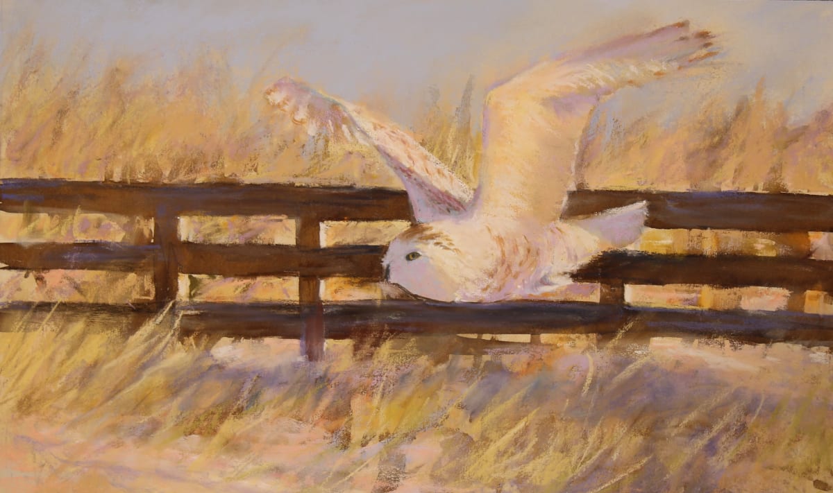 Silent in Flight by Lisa Regopoulos, Image 1.