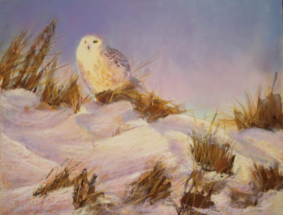 Reconnaissance by Lisa Regopoulos 