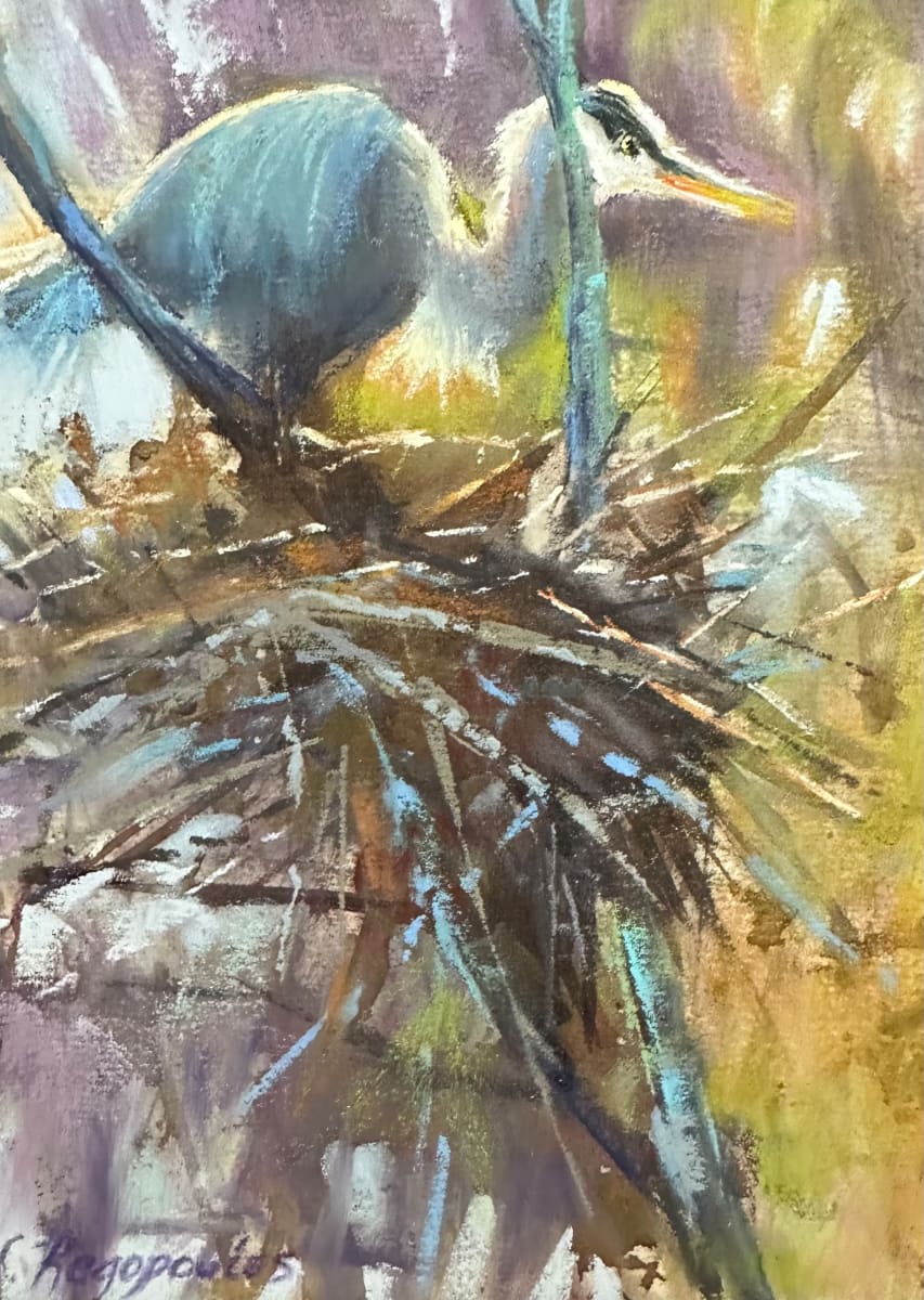 The Rookery by Lisa Regopoulos 