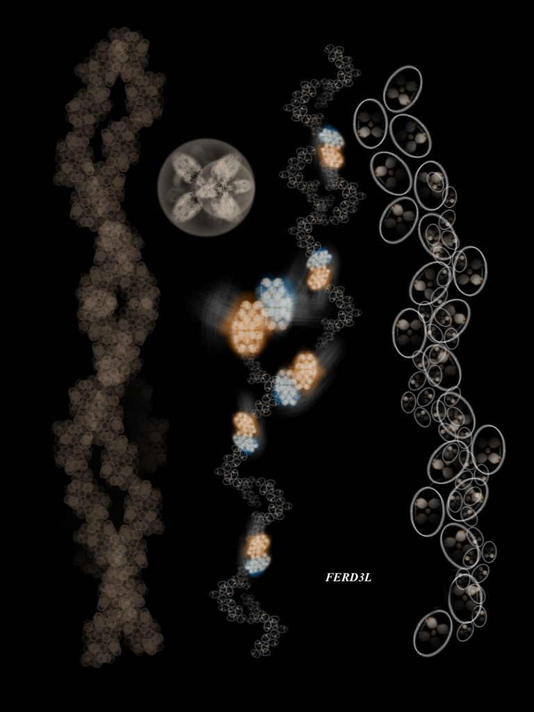 FERD3L by Gregg Liberi 