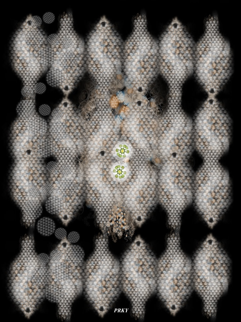 PRKY by Gregg Liberi 