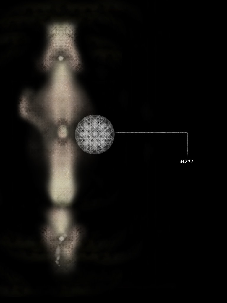 MZT1 by Gregg Liberi 