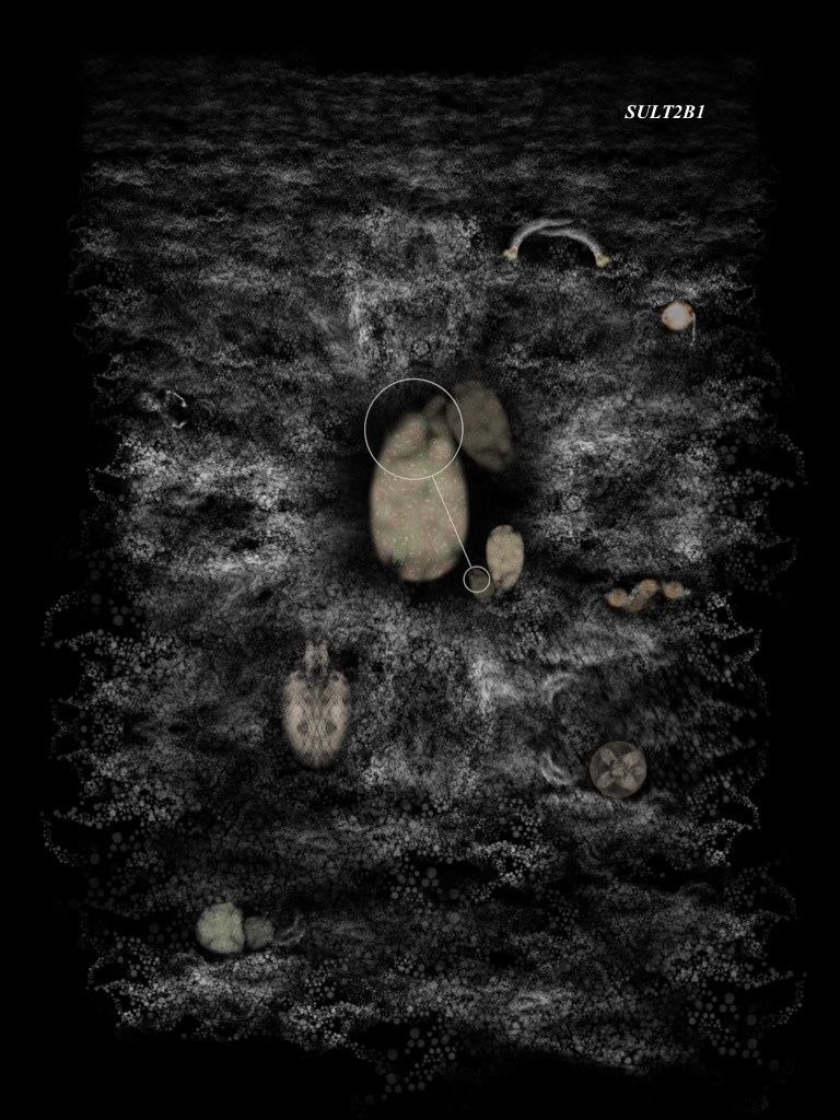 SULT2B1 by Gregg Liberi 