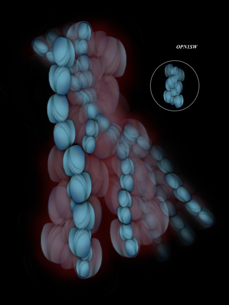 OPN1SW by Gregg Liberi, Image 1.
