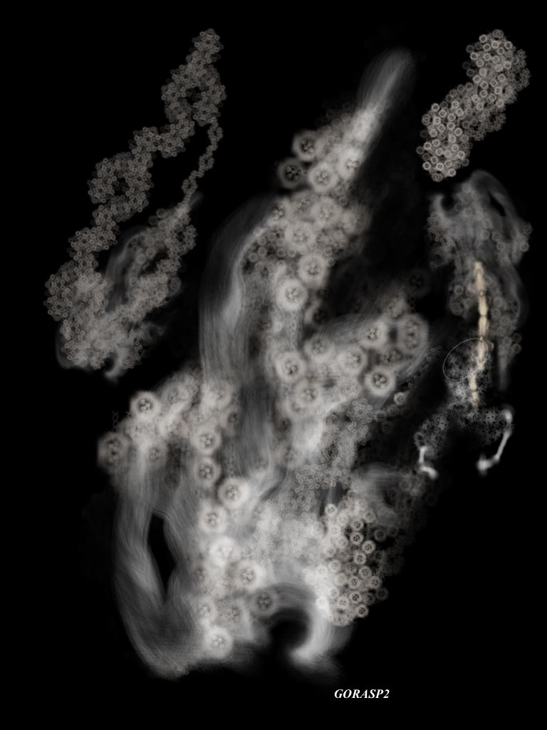 GORASP2 by Gregg Liberi 