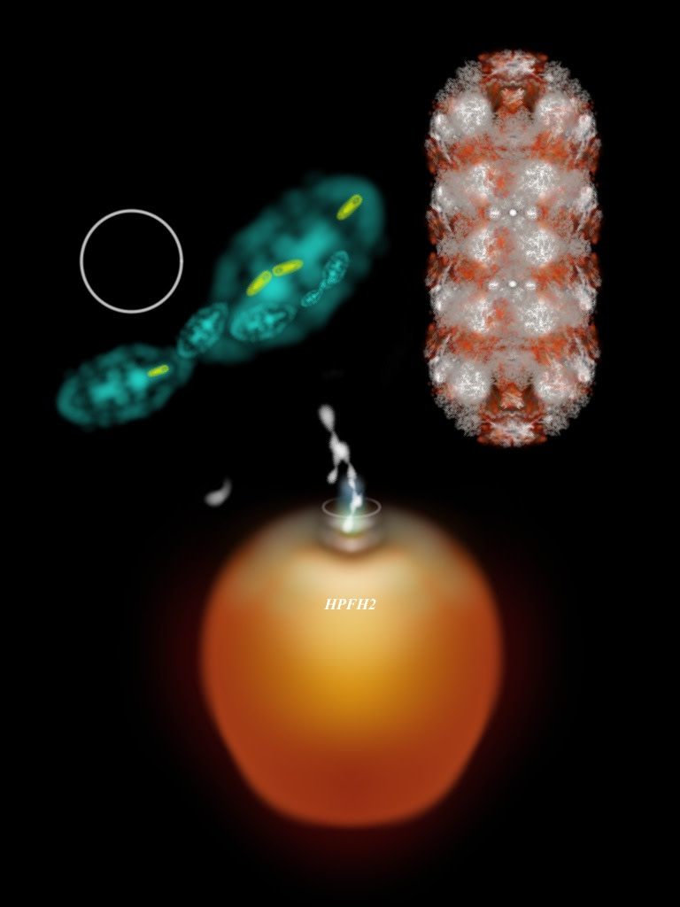 HPFH2 by Gregg Liberi 