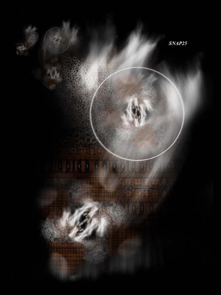 SNAP25 by Gregg Liberi 