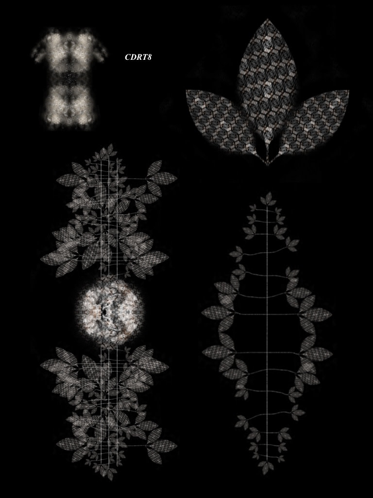 CDRT8 by Gregg Liberi 