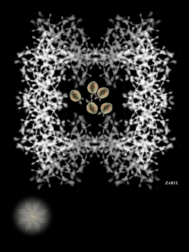 ZAR1L by Gregg Liberi 