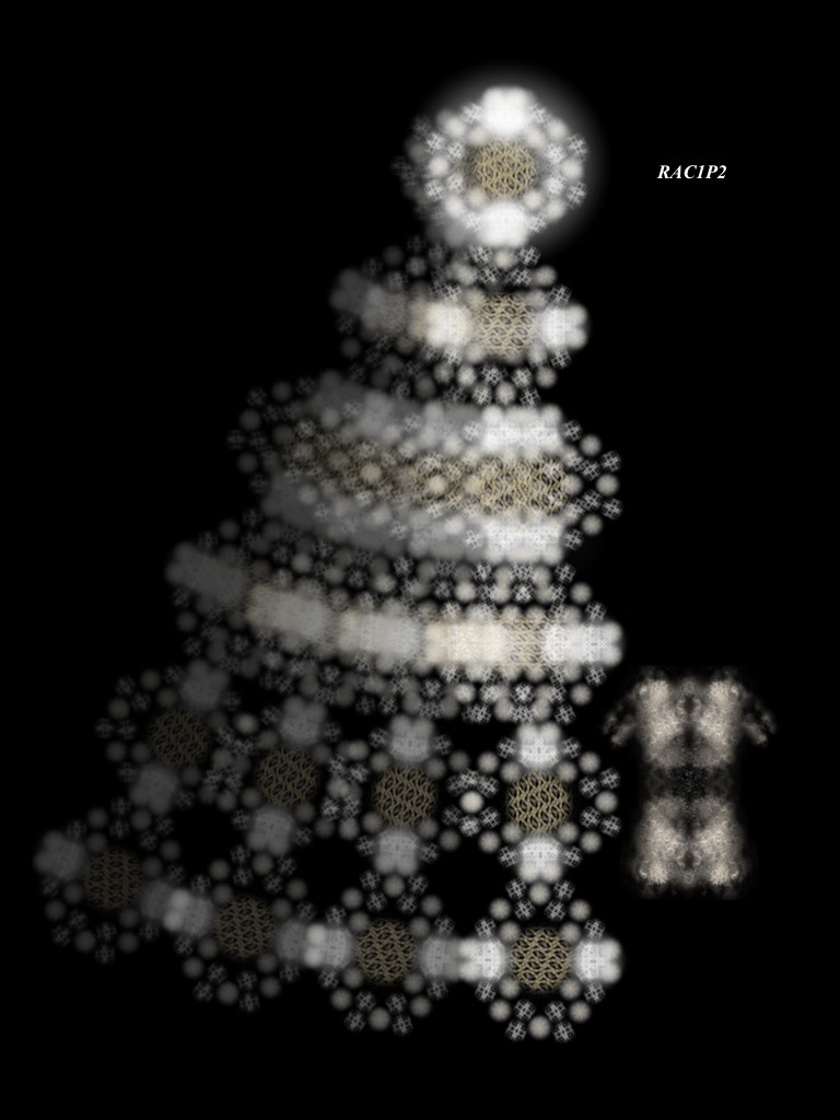 RAC1P2 by Gregg Liberi 