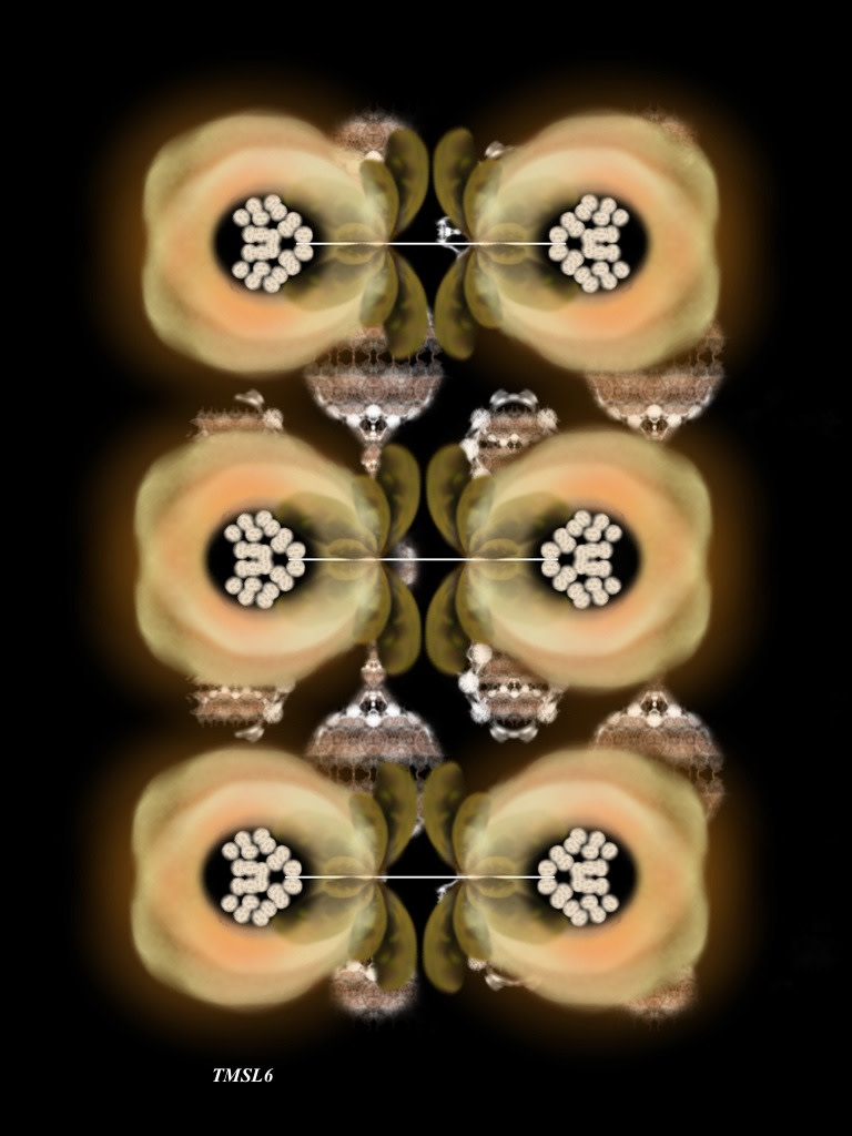 TMSL6 by Gregg Liberi 