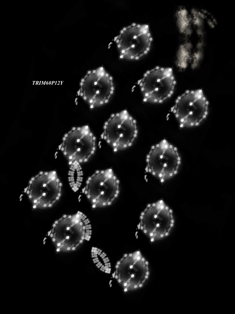 TRIM60P12Y by Gregg Liberi 