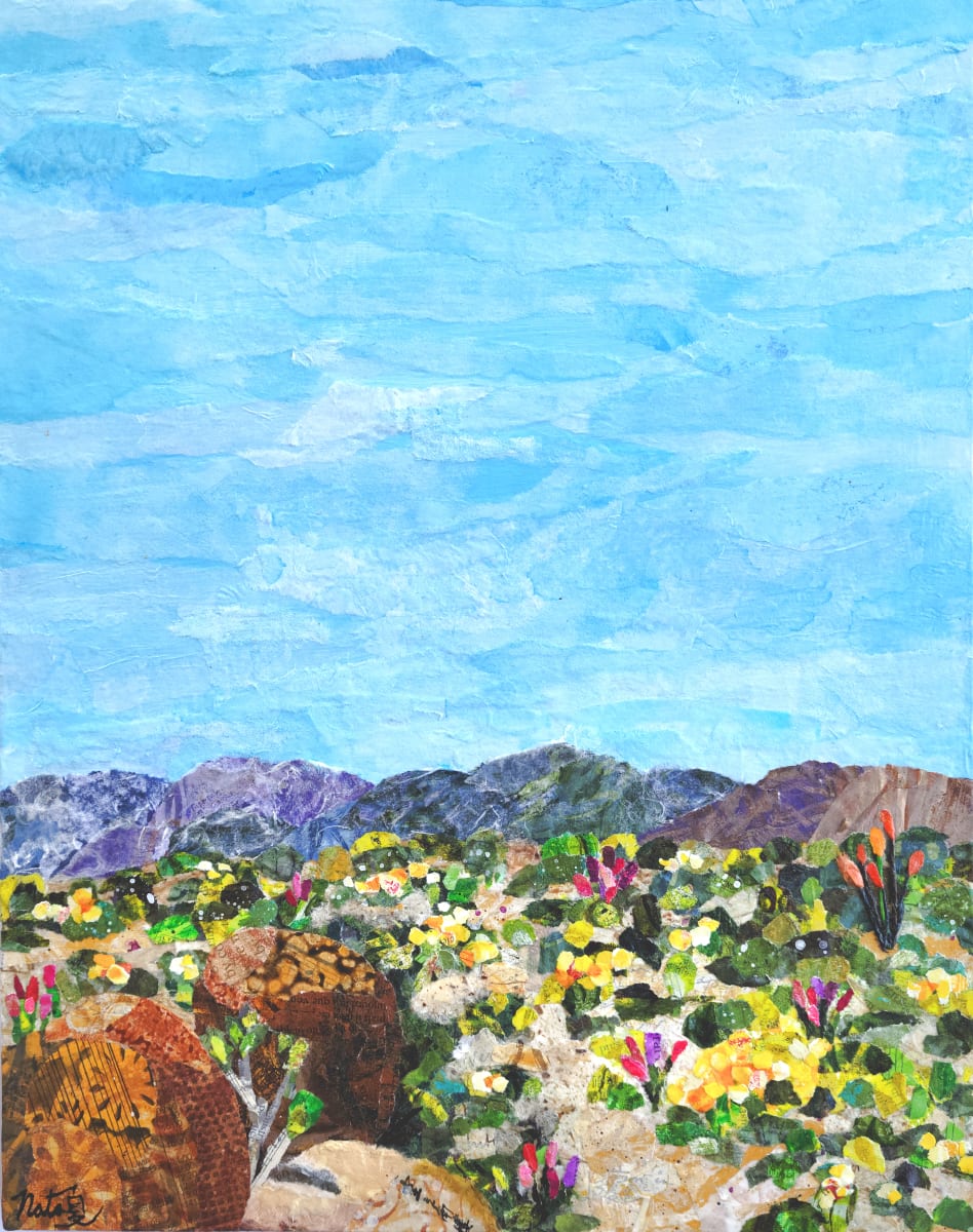Spring in Anza-Borrego by Poppyfish Studio: The Art of Natasha Monahan Papousek 
