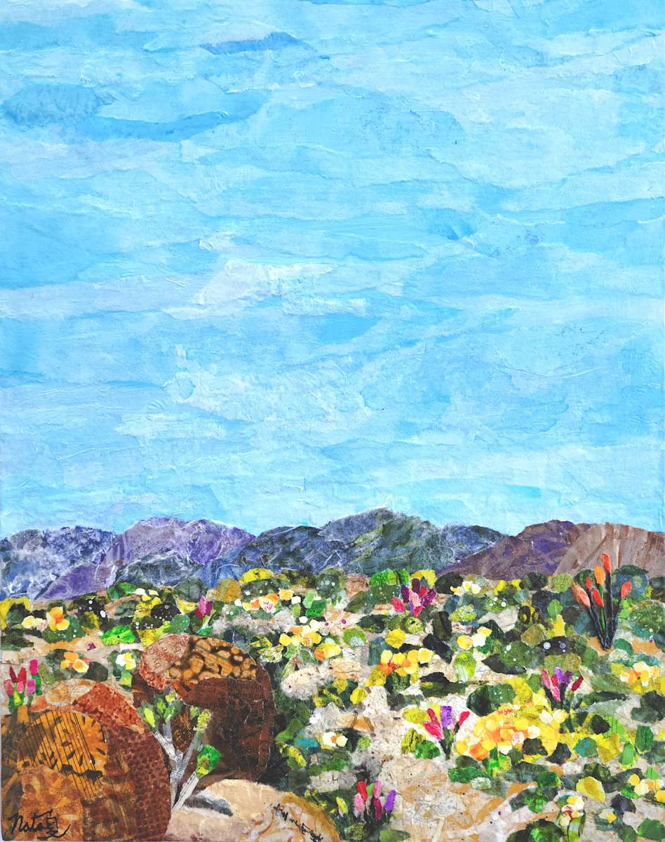 Spring in Anza-Borrego by Poppyfish Studio: The Art of Natasha Monahan Papousek, Image 1.