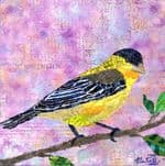Backyard Birds: Mr. Lesser Goldfinch by Poppyfish Studio: The Art of Natasha Monahan Papousek 