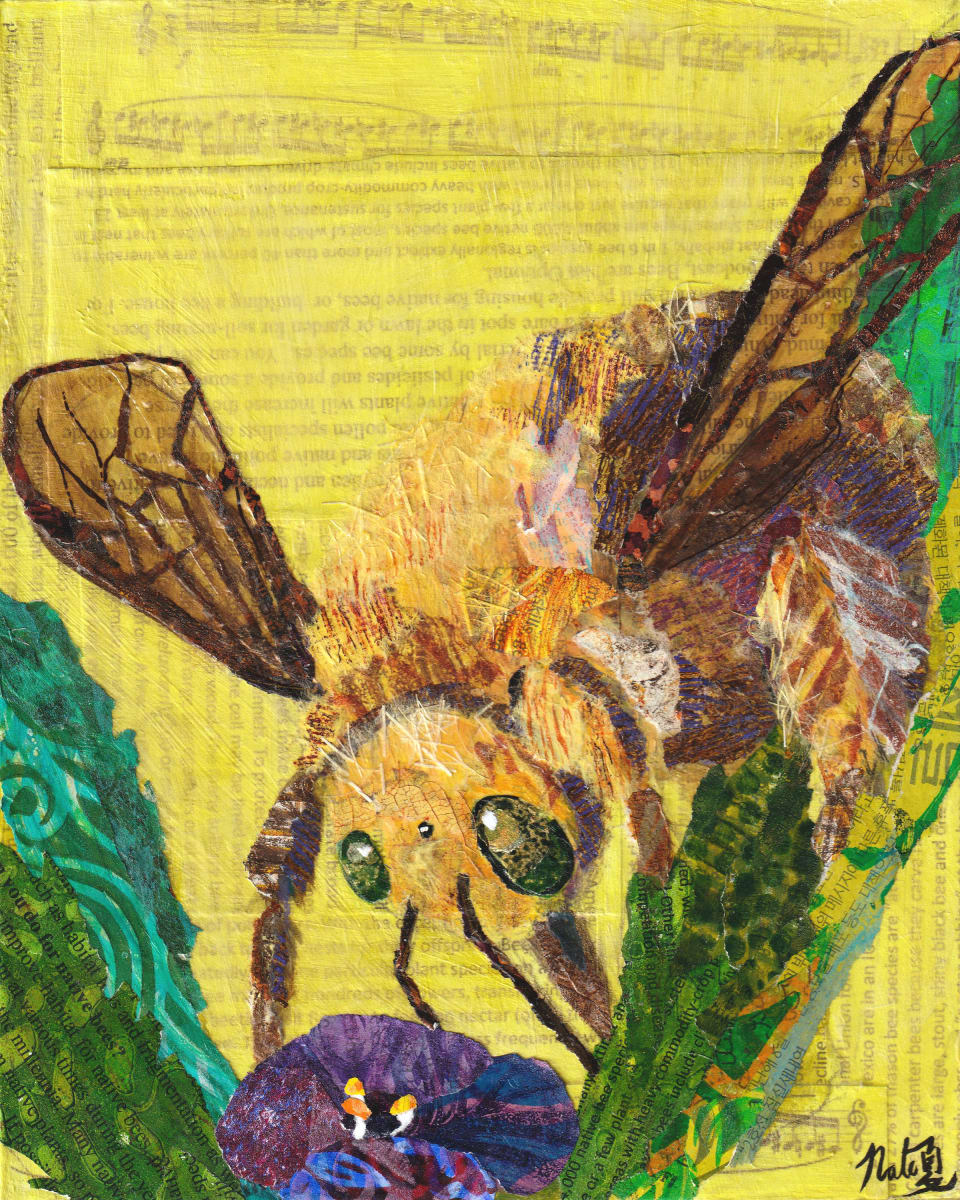 Bees, Butterflies and Beyond: The Teddy Bear's Picnic, the Valley Carpenter Bee by Poppyfish Studio: The Art of Natasha Monahan Papousek  Image: The gentle giant of the garden.