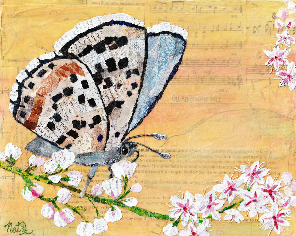 Bees, Butterflies and Beyond: Pallid Blue-Dotted Butterfly by Poppyfish Studio: The Art of Natasha Monahan Papousek  Image: A tiny pallid blue-dotted butterfly pauses on a spray of buckwheat blossoms
