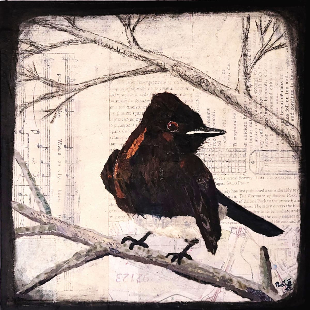 Backyard Birds: Black Phoebe by Poppyfish Studio: The Art of Natasha Monahan Papousek 