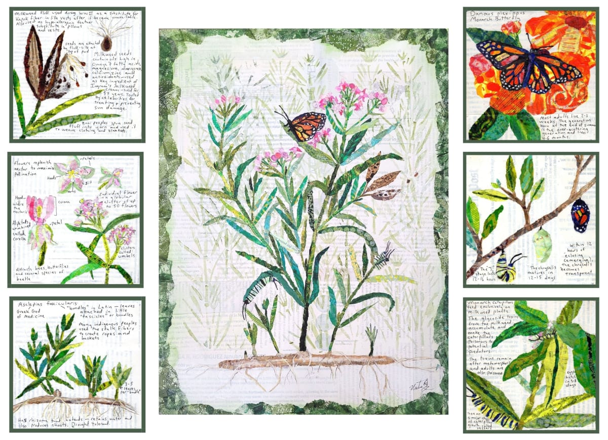 The Dance of Life: Of Monarchs and Milkweed by Poppyfish Studio: The Art of Natasha Monahan Papousek  Image: The whole 7 piece septych