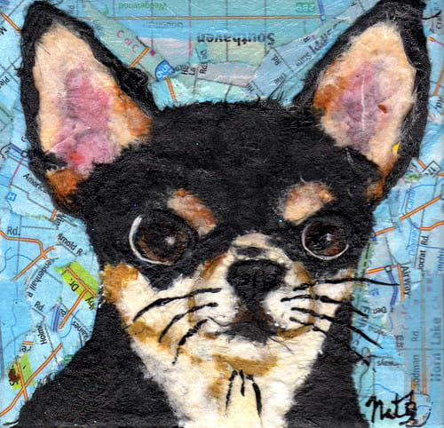 Taco by Poppyfish Studio: The Art of Natasha Monahan Papousek 