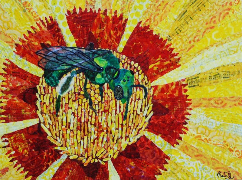 Green Bee: California Native Pollinator by Poppyfish Studio: The Art of Natasha Monahan Papousek 