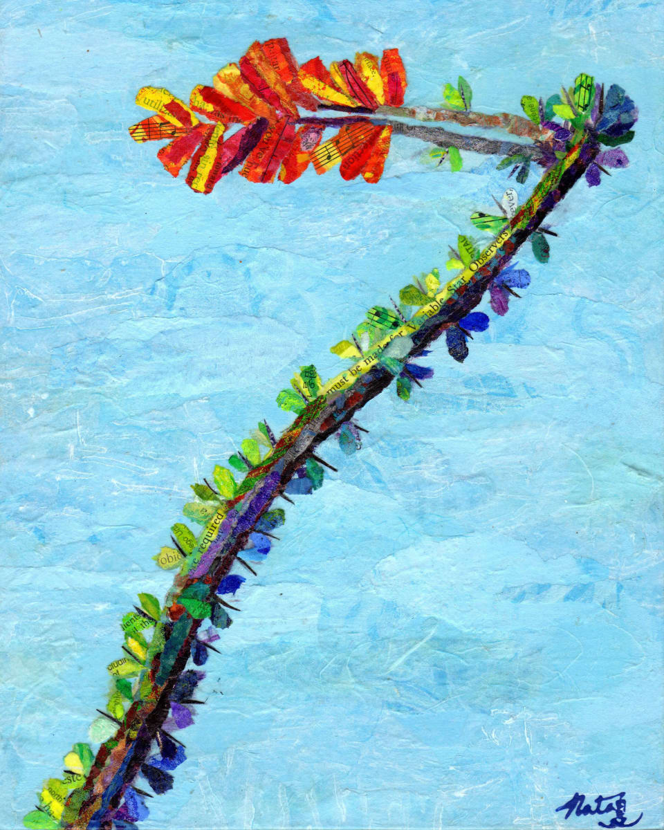 The Splendid Ocotillo by Poppyfish Studio: The Art of Natasha Monahan Papousek 